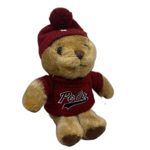 Ralph Lauren 2021 Limited THE POLO BEAR Plush Teddy Red Sweater & Hat